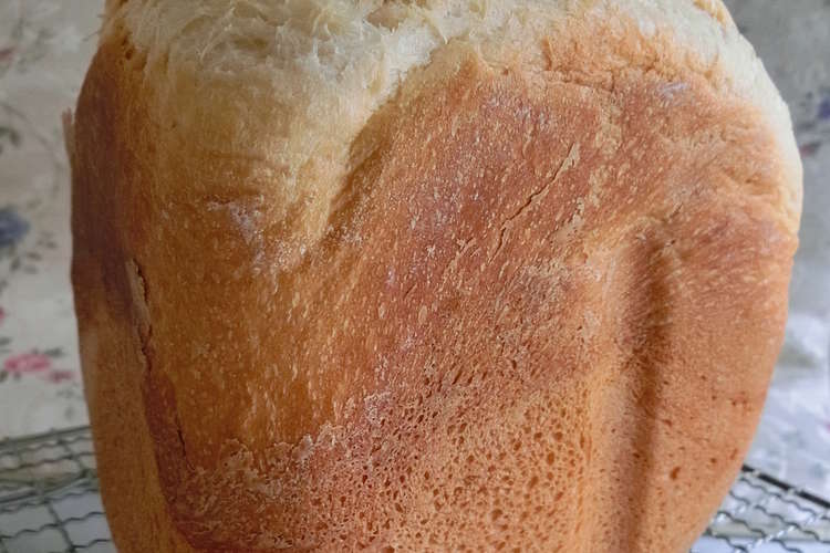 コジオスコ レンダー 人柄 銀 食パン Horii Jp
