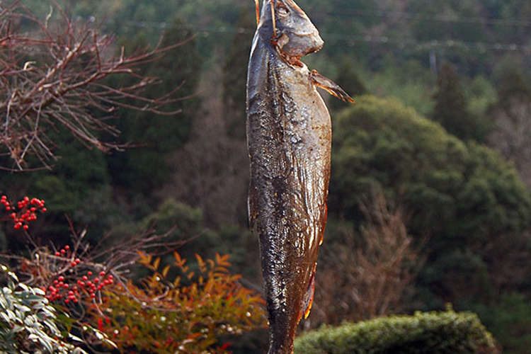 燻製器で作る 新巻鮭でスモークサーモン レシピ 作り方 By Xlr250r クックパッド