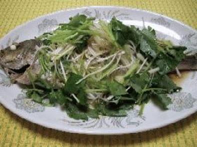 ∽∽白身魚の中華風レンジ蒸し∽∽の写真