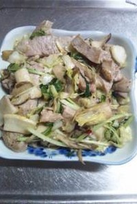 １月４日晩飯　【肉野菜炒め】