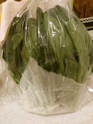 葉物野菜のおすすめ冷蔵保存方法の写真