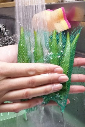 オクラの簡単下処理!水とネットのみ