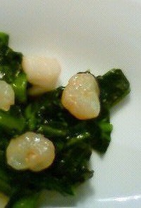 小松菜と小エビの炒め物