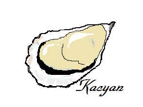 殻つき牡蠣の画像
