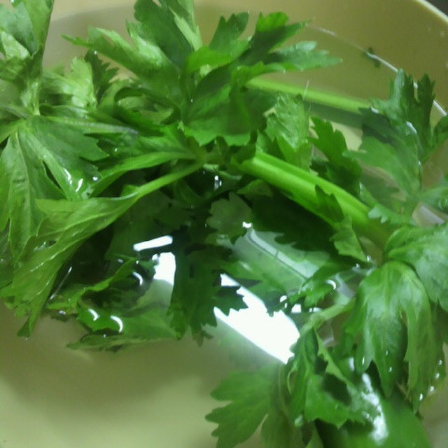 シナシナ葉野菜がシャッキリ 野菜の洗い方 レシピ 作り方 By Pu Nya クックパッド 簡単おいしいみんなのレシピが351万品