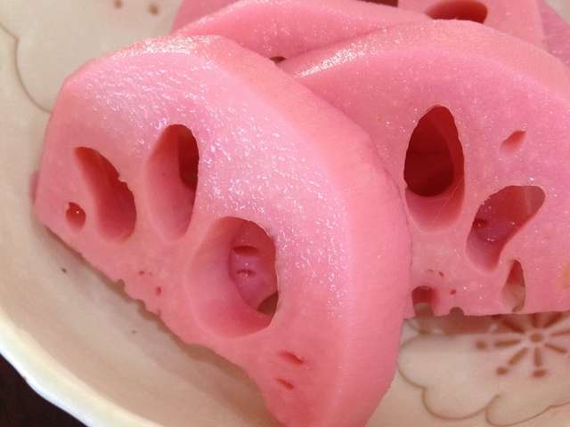 ユニークれんこん ピンク 最高の花の画像 ユニークれんこん ピンク 最高の花の画像