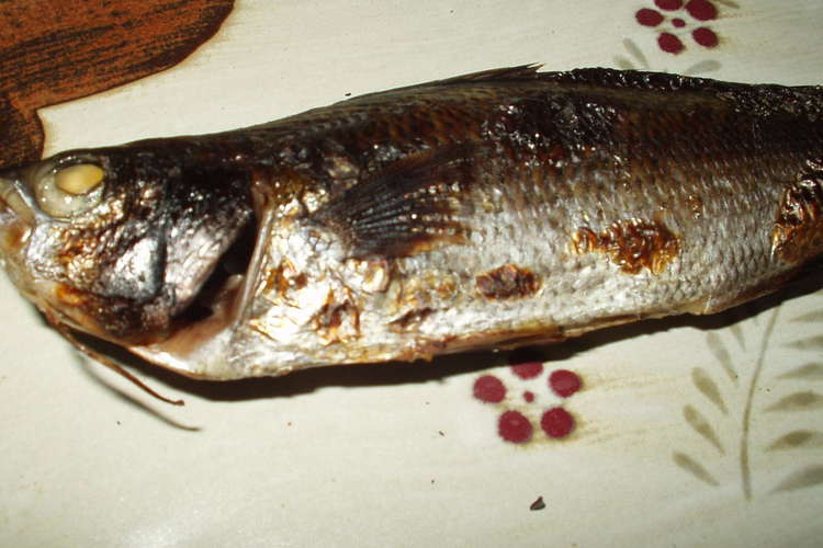 たかべの味噌漬け レシピ 作り方 By 海 砂 クックパッド 簡単おいしいみんなのレシピが359万品