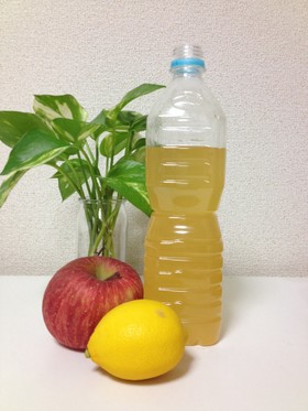 ☆美容と健康に!酵素ジュースの作り方♫