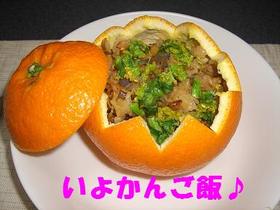 想像を超えるおいしさ☆いよかんご飯☆
