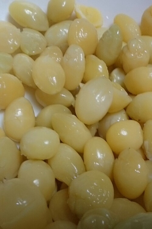 ぎんなん(銀杏) 水煮・冷凍保存 by ＊tibby＊ 【クックパッド】 簡単おいしいみんなのレシピが358万品