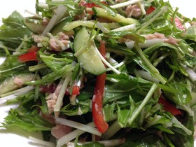 ヘルシー♪水菜とツナ缶のサラダ☆
