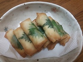 はんぺんと海老の簡単春巻き