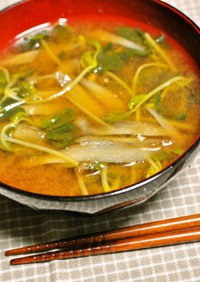 豆苗とごぼうの味噌汁