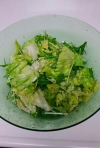 簡単！レタスと水菜の旨サラダ