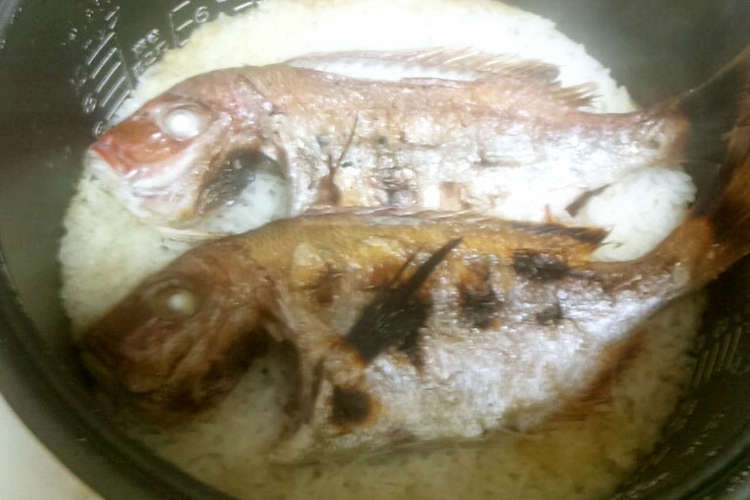 元魚屋が教える 絶品 炊飯器で 鯛めし レシピ 作り方 By おみつさん２ クックパッド 簡単おいしいみんなのレシピが353万品