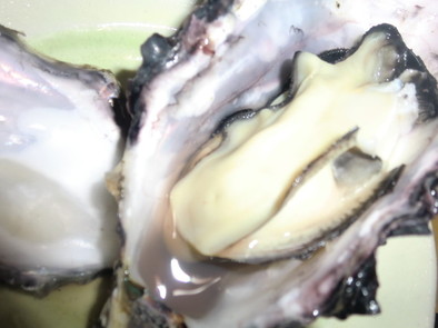 牡蠣屋さん直伝☆殻つき牡蠣の食べ方の写真
