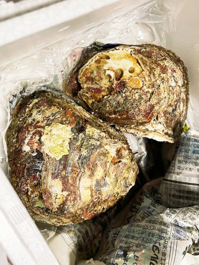 殻付き牡蠣のオーブン焼きの写真