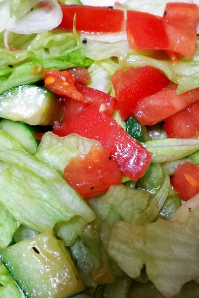 シンプルドレッシングで生野菜サラダの写真