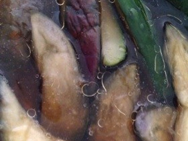 レンジでナスのさっぱり浸し 大量消費にも レシピ 作り方 By おかりちゃん クックパッド 簡単おいしいみんなのレシピが354万品