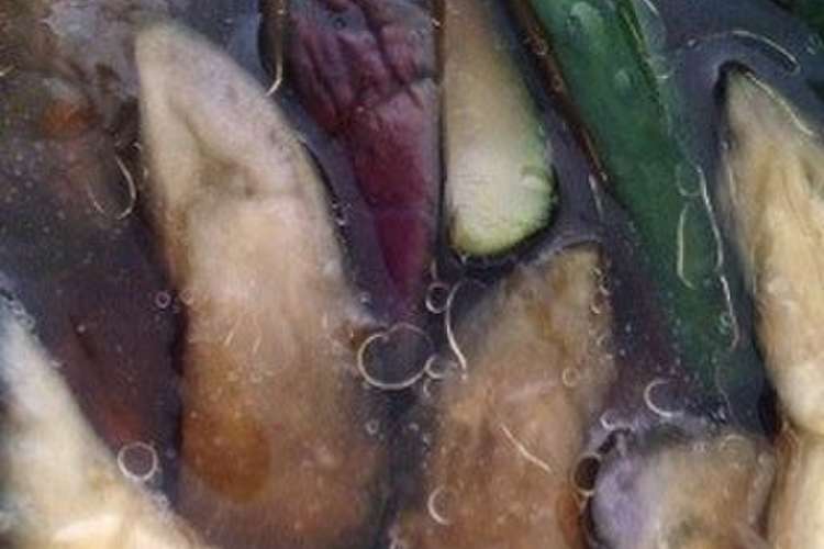 レンジでナスのさっぱり浸し 大量消費にも レシピ 作り方 By おかりちゃん クックパッド 簡単おいしいみんなのレシピが359万品