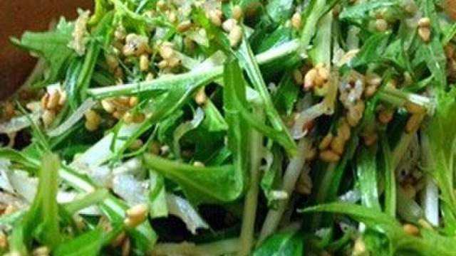 ゴマたっぷり カリカリしらすと水菜サラダ レシピ 作り方 By ミルフィー クックパッド 簡単おいしいみんなのレシピが356万品