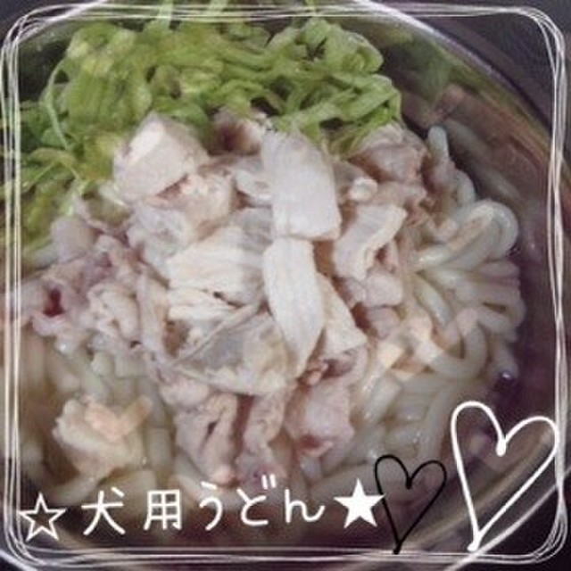 犬用うどん レシピ 作り方 By Silade0122 クックパッド 簡単おいしいみんなのレシピが352万品