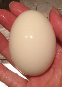 ゆで卵の綺麗な殻むき