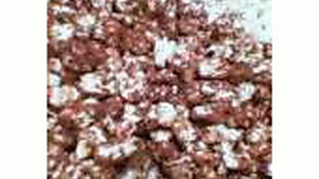 とまらない キャラメルチョコポップコーン レシピ 作り方 By ここま クックパッド 簡単おいしいみんなのレシピが360万品