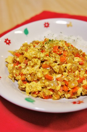 辛さマイルド☆豆腐入りドライキーマカレー
