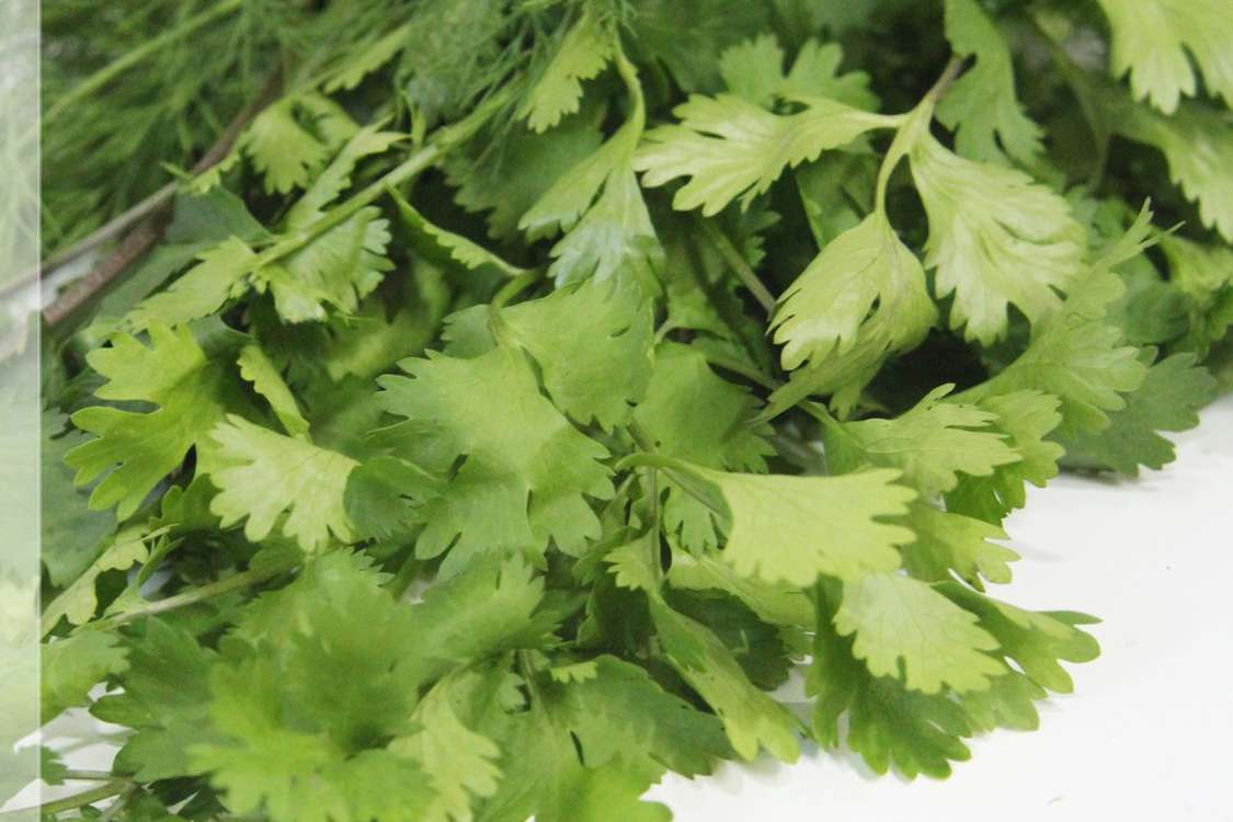 ハーブのちょっと長持ち保存法 レシピ 作り方 By Hoink クックパッド 簡単おいしいみんなのレシピが379万品