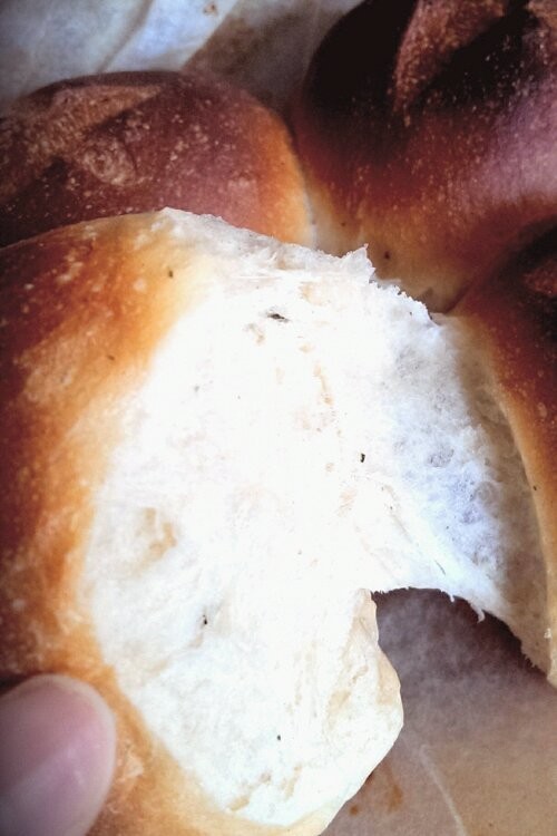 ダッチオーブンでハーブの香り豊かパンの画像
