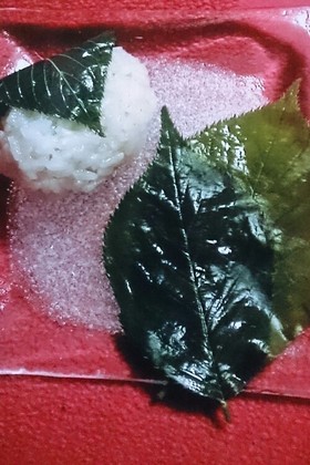 桜の葉の塩漬け
