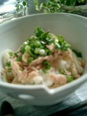 ひ~んやり♪ツナおろしうどん
