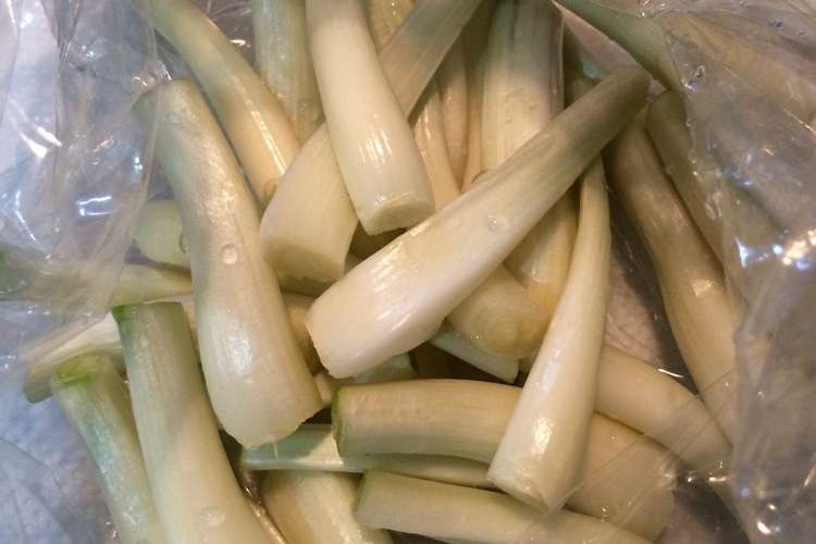 島らっきょうの浅漬け レシピ 作り方 By Snawofruit クックパッド 簡単おいしいみんなのレシピが358万品