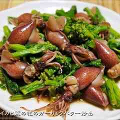 油菜 の定番おかず集 クックパッド