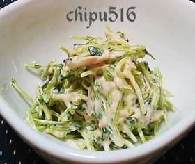 超簡単子供が喜ぶ 無限豆苗とツナのサラダ