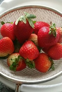 苺の冷凍保存法