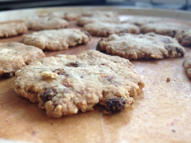 押麦とレーズンの、カリッと素朴なクッキーの写真