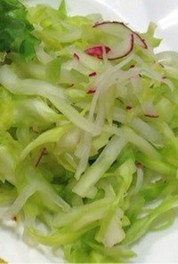 マクロビ 春キャベツの浅漬けサラダ