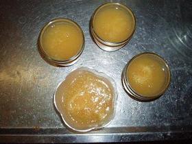 不思議食感★りんごゼリーかん