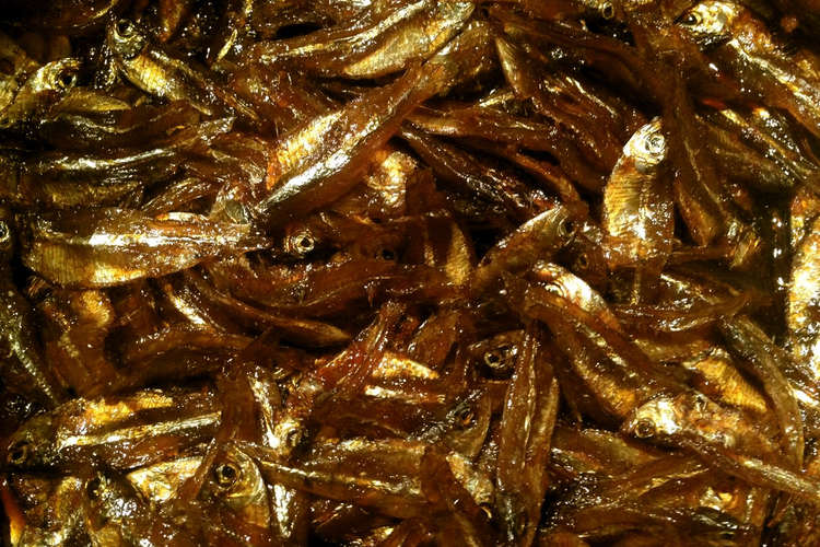 乾物小魚でくぎ煮 甘露煮 佃煮 メキシコ レシピ 作り方 By Kkkkkmex クックパッド 簡単おいしいみんなのレシピが360万品