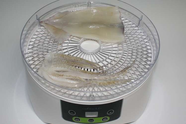 簡単 食品乾燥機でイカの一夜干し スルメ レシピ 作り方 By ウミダスジャパン クックパッド