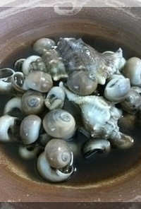ツメタ貝の甘煮