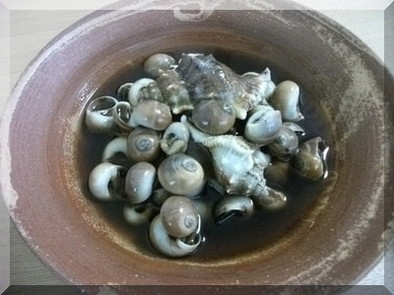 ツメタ貝の甘煮の写真