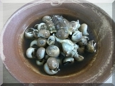 ツメタ貝の甘煮の画像
