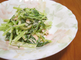 モリモリ食べられる!水菜のツナマヨサラダ