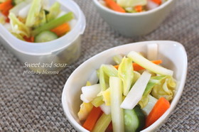 いろいろ野菜のピクルス☆