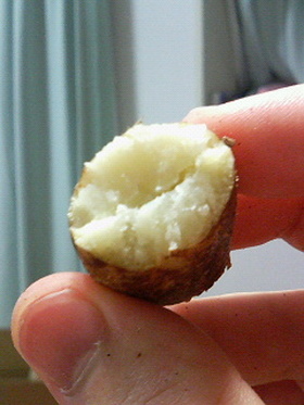 ドリアンの種焼き