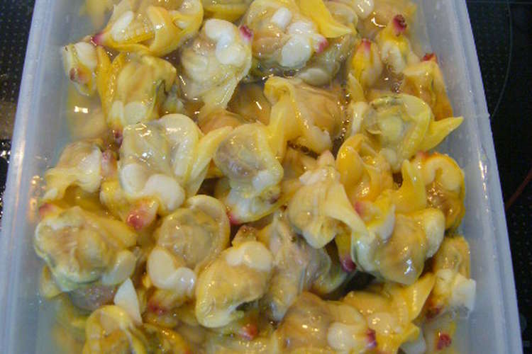 バカガイ いえ シオフキ 貝 の処理 レシピ 作り方 By フィノ クックパッド 簡単おいしいみんなのレシピが375万品