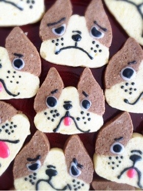 かわいい簡単！犬のアイスボックスクッキーの画像